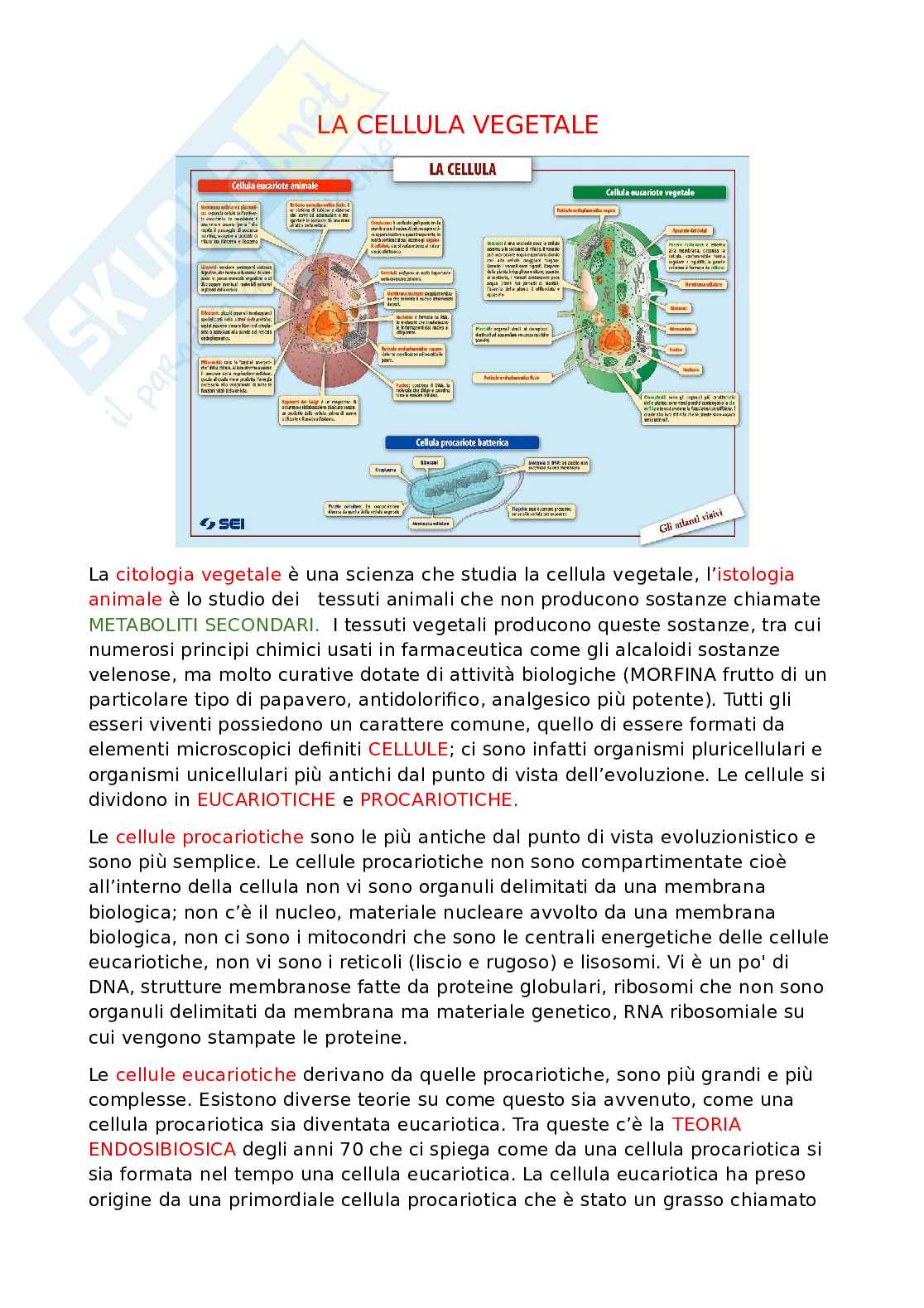 Appunti dettagliati di Biologia   Pag. 1