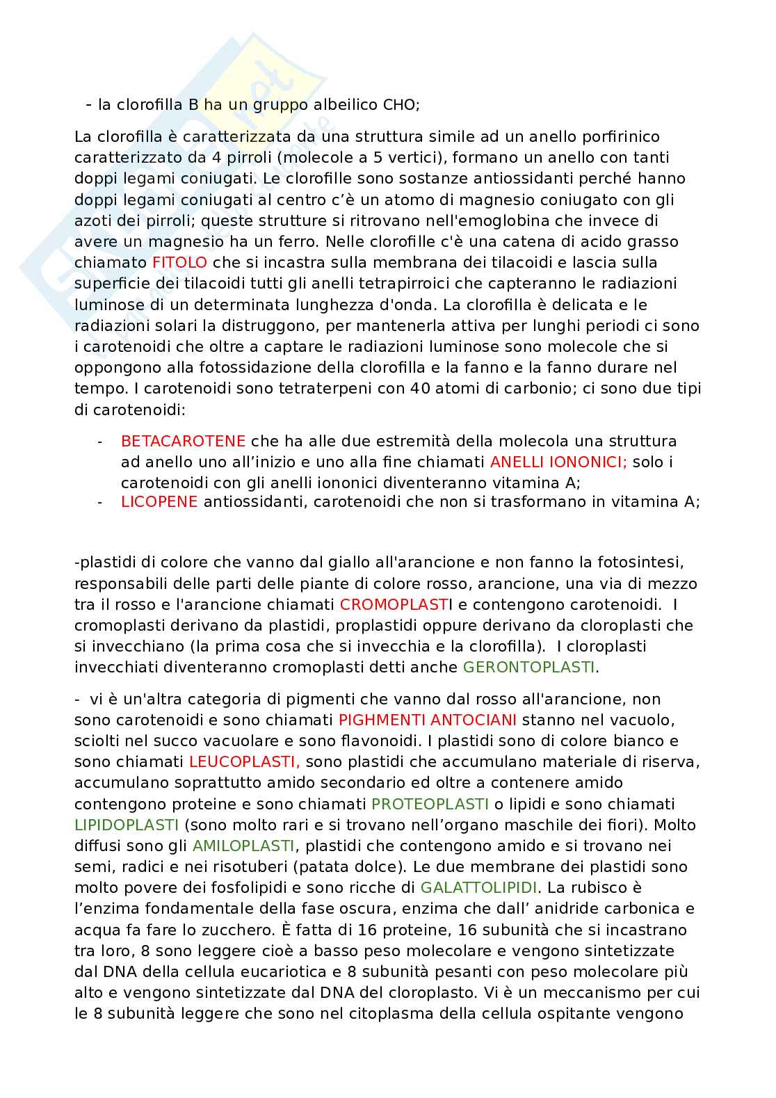 Appunti dettagliati di Biologia   Pag. 11