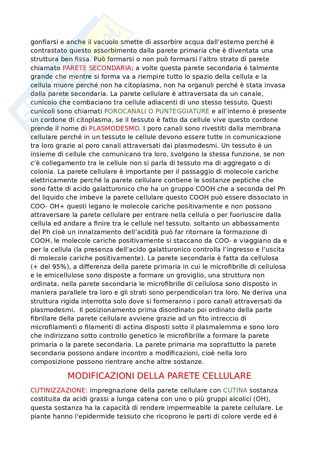 Appunti dettagliati di Biologia   Pag. 16
