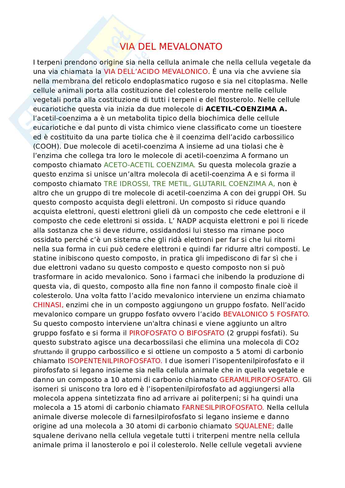 Appunti dettagliati di Biologia   Pag. 21