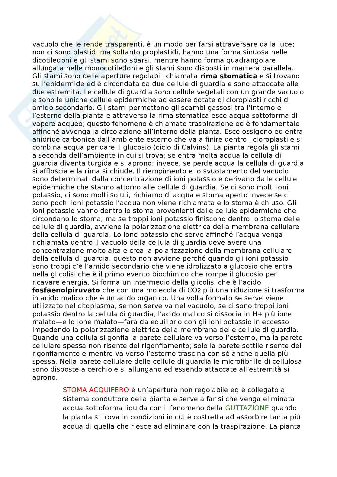 Appunti dettagliati di Biologia   Pag. 31