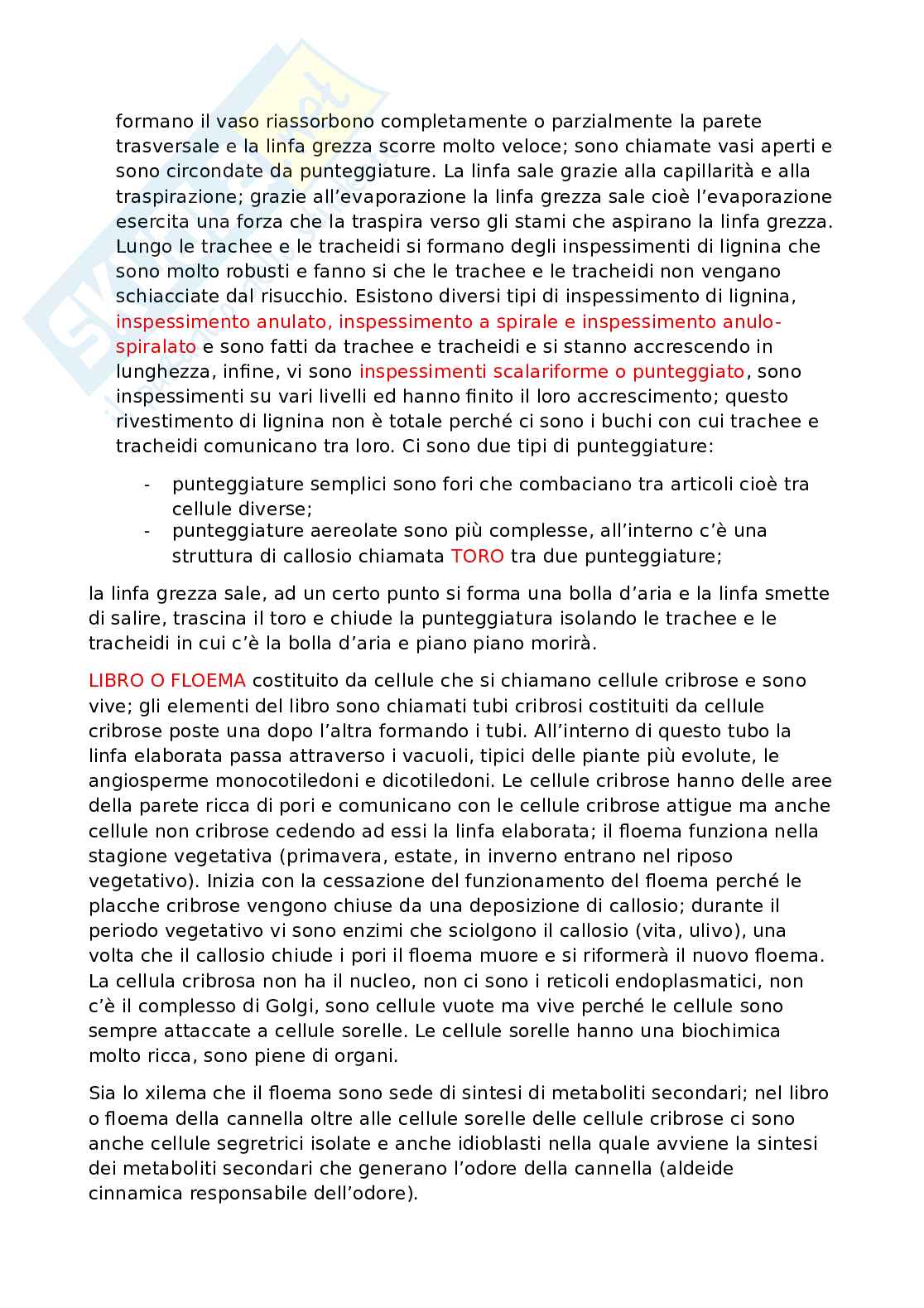 Appunti dettagliati di Biologia   Pag. 36