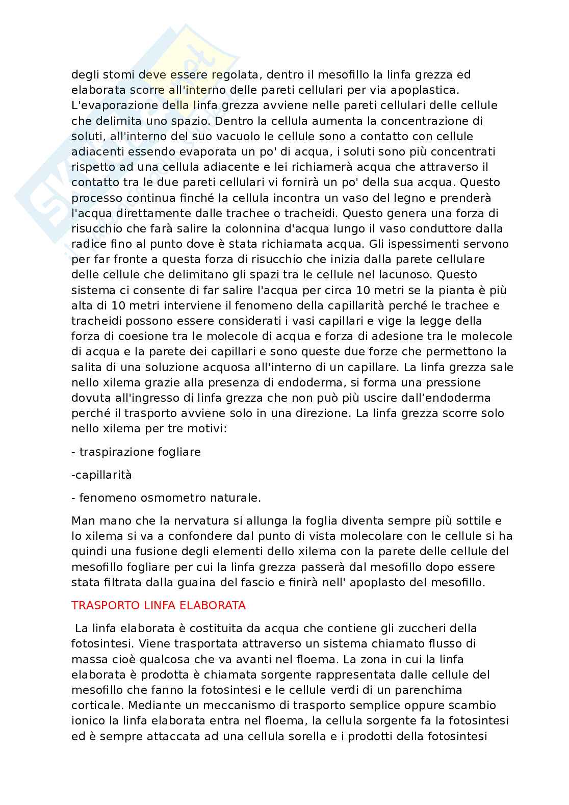 Appunti dettagliati di Biologia   Pag. 51