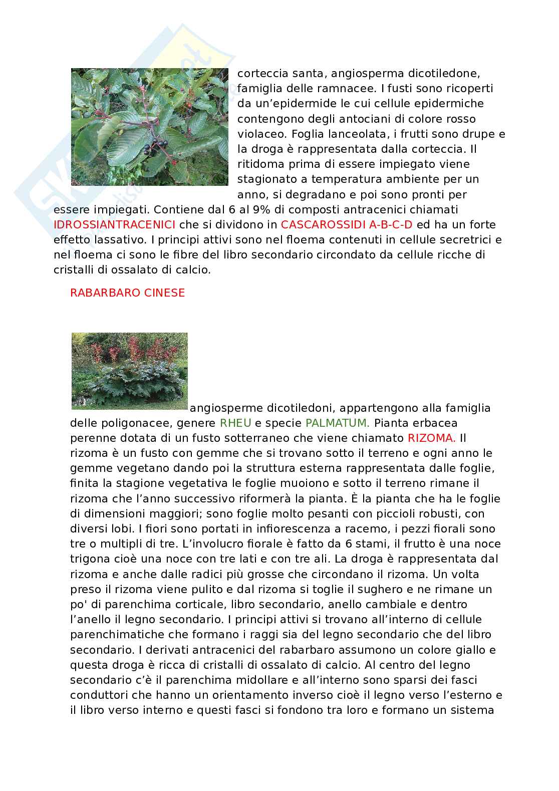 Appunti dettagliati di Biologia   Pag. 56