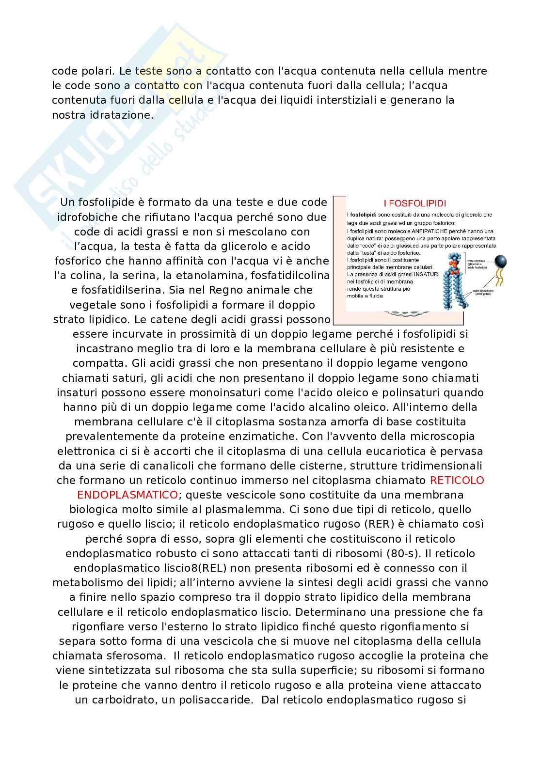 Appunti dettagliati di Biologia   Pag. 6