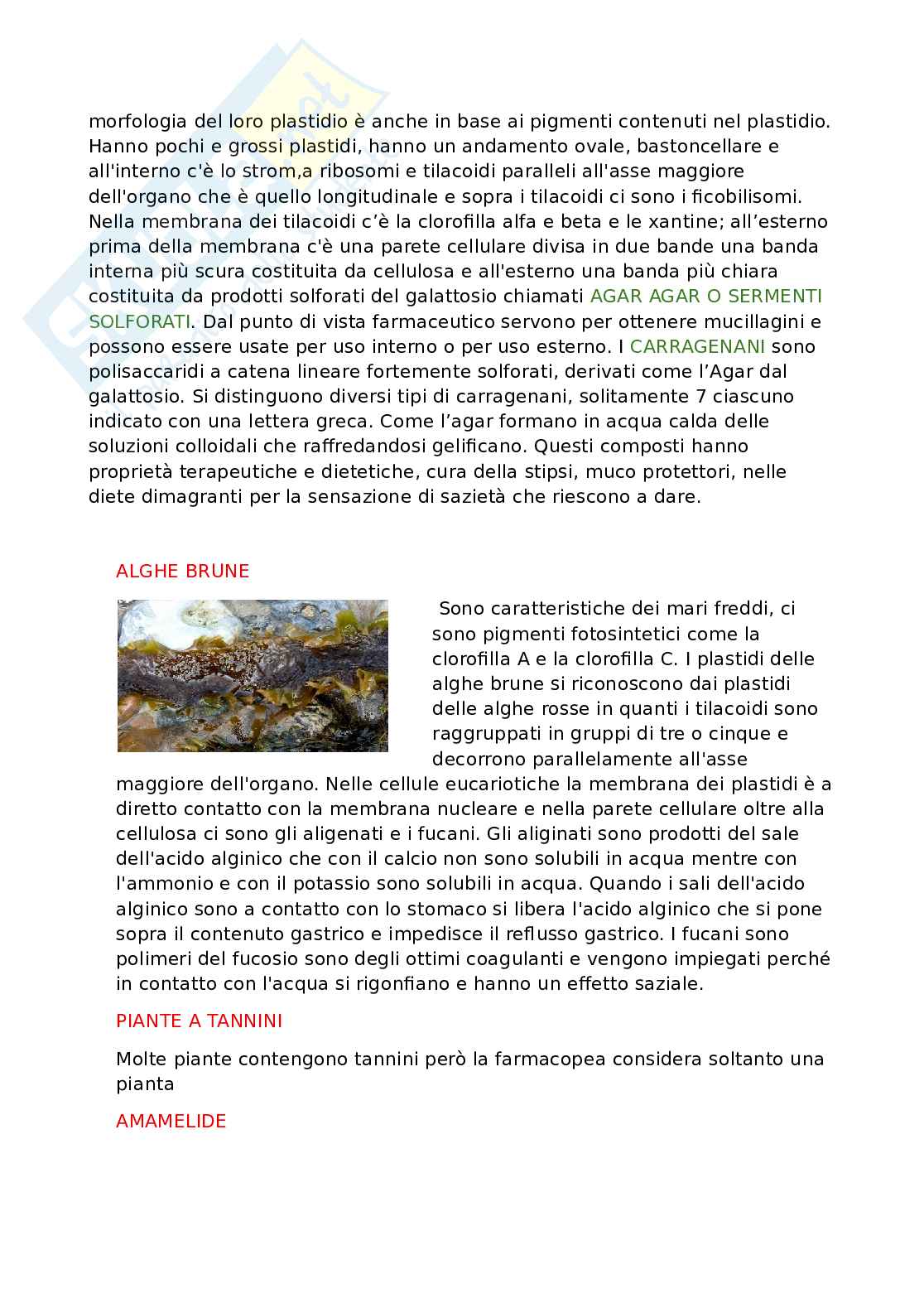 Appunti dettagliati di Biologia   Pag. 61