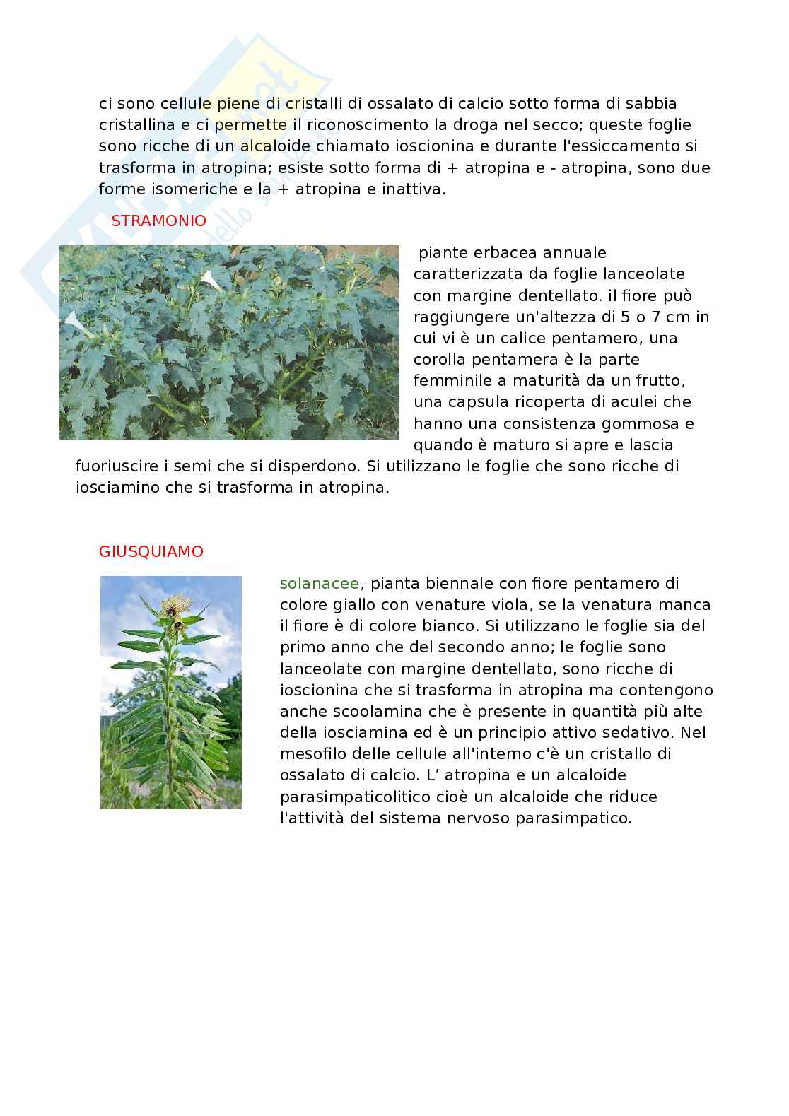 Appunti dettagliati di Biologia   Pag. 66