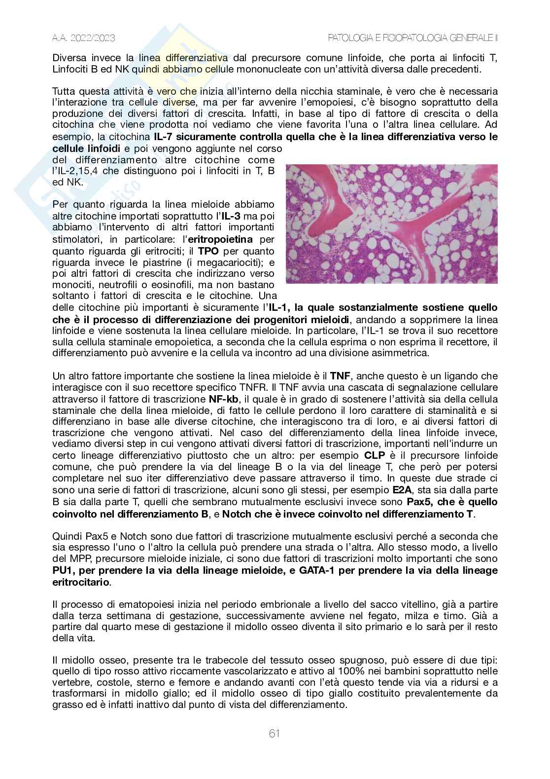 Riassunto esame Patologia e fisiopatologia generale , Prof. Scarpa Susanna, libro consigliato Patologia generale e fisiopatologia generale, Pontieri  Pag. 61