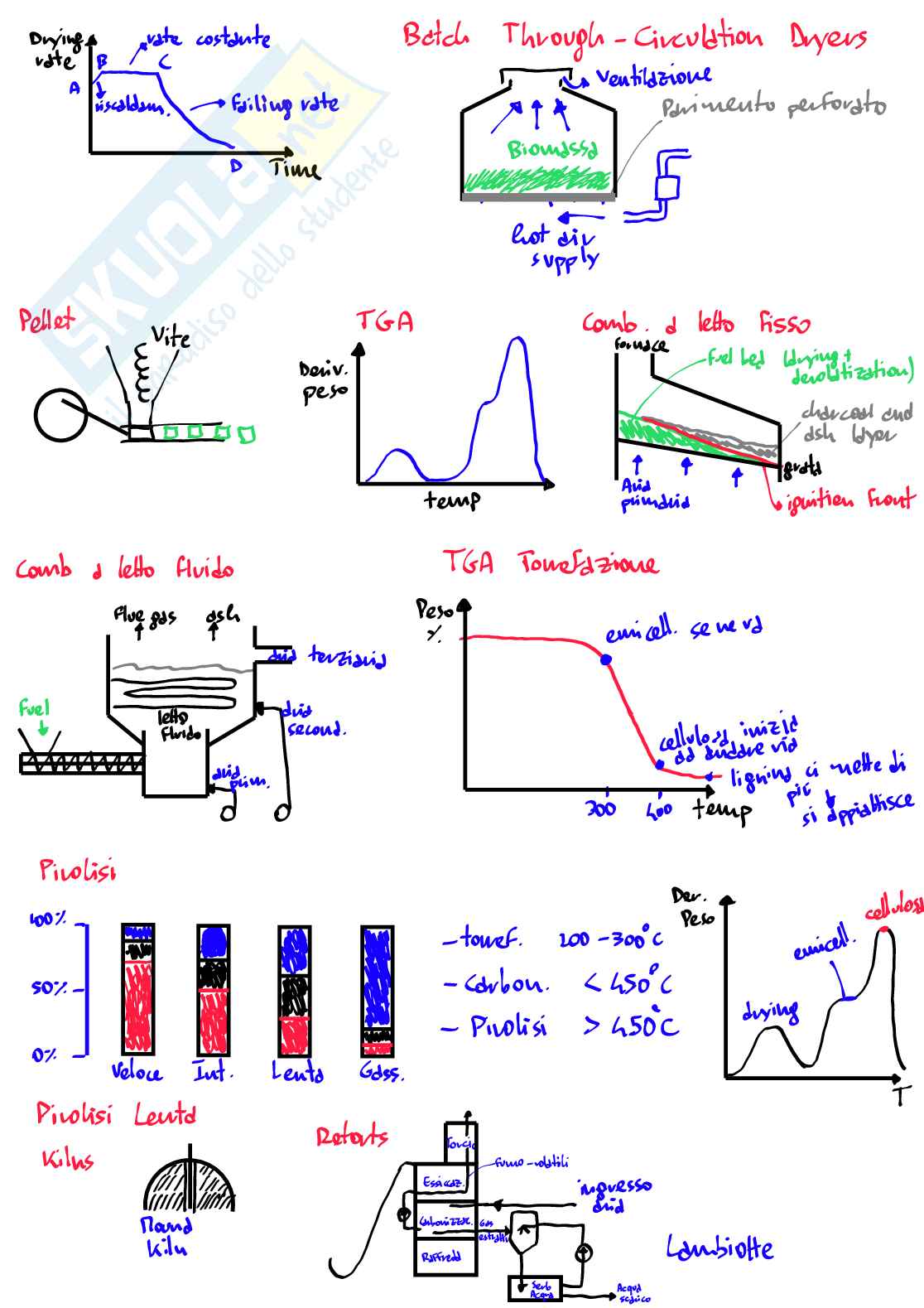 Schemi e mappe di Tecnologie e processi per la conversione energetica delle biomasse Pag. 1