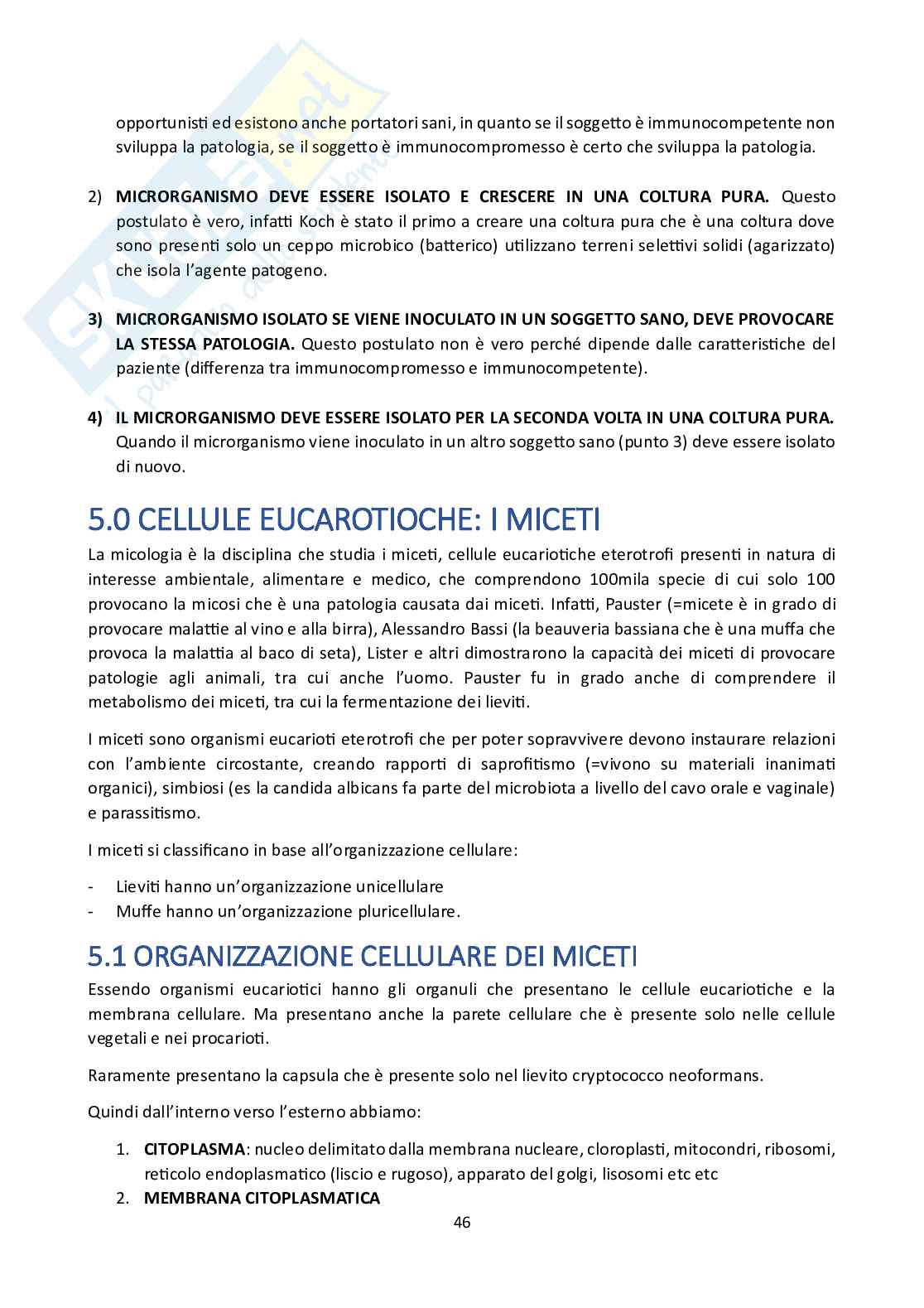 Microbiologia Pag. 46