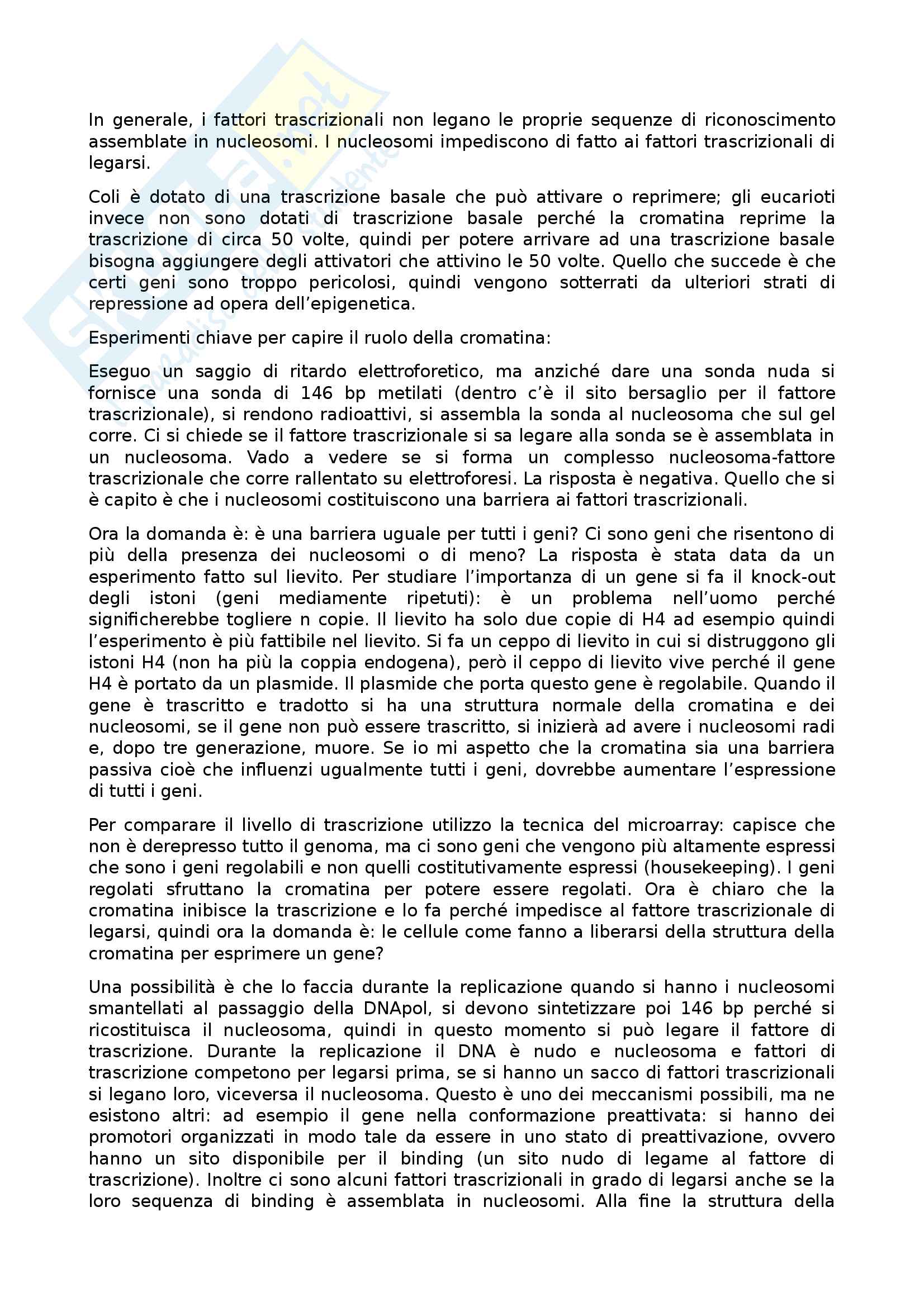 Biologia molecolare Pag. 101