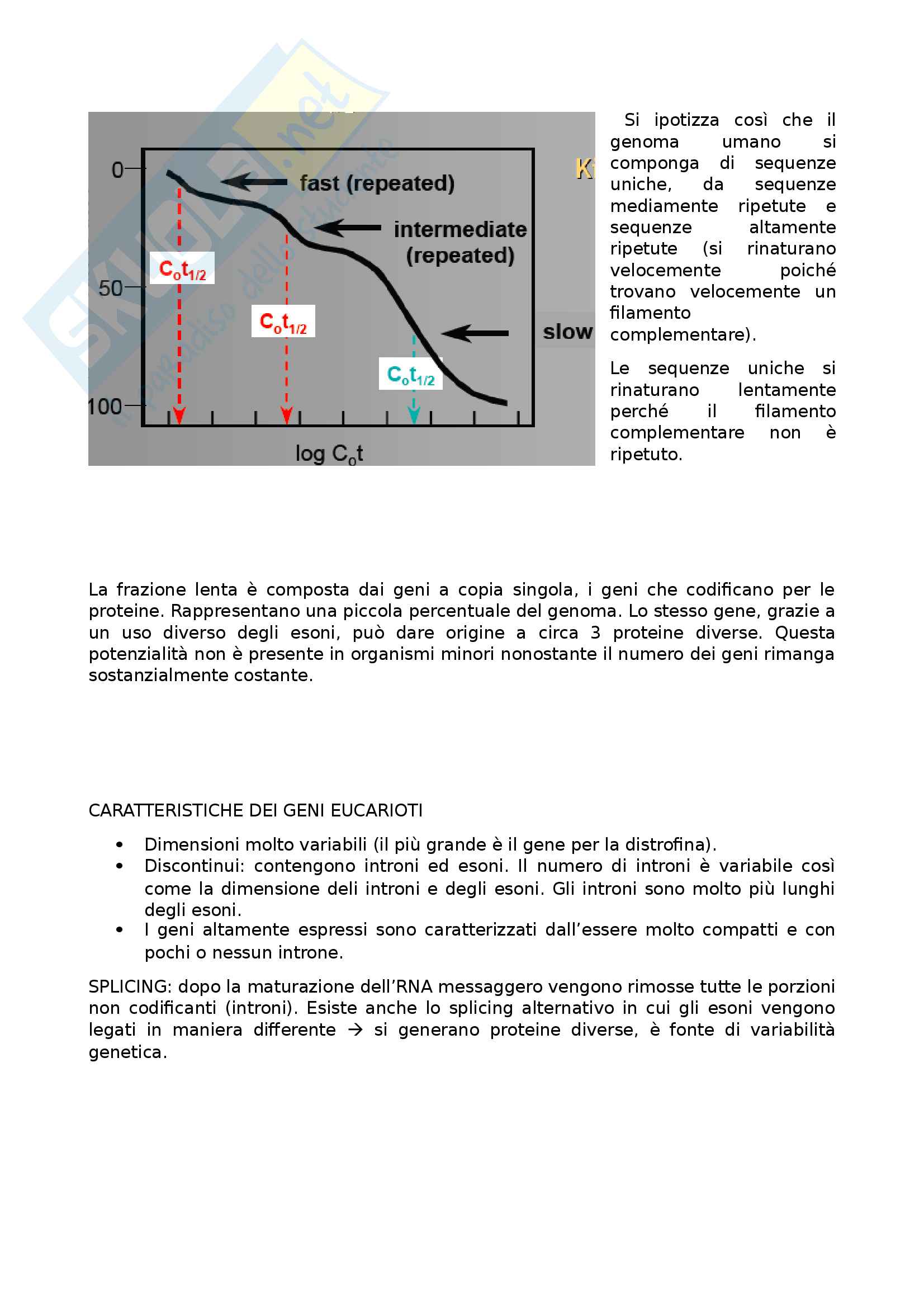 Biologia molecolare Pag. 16