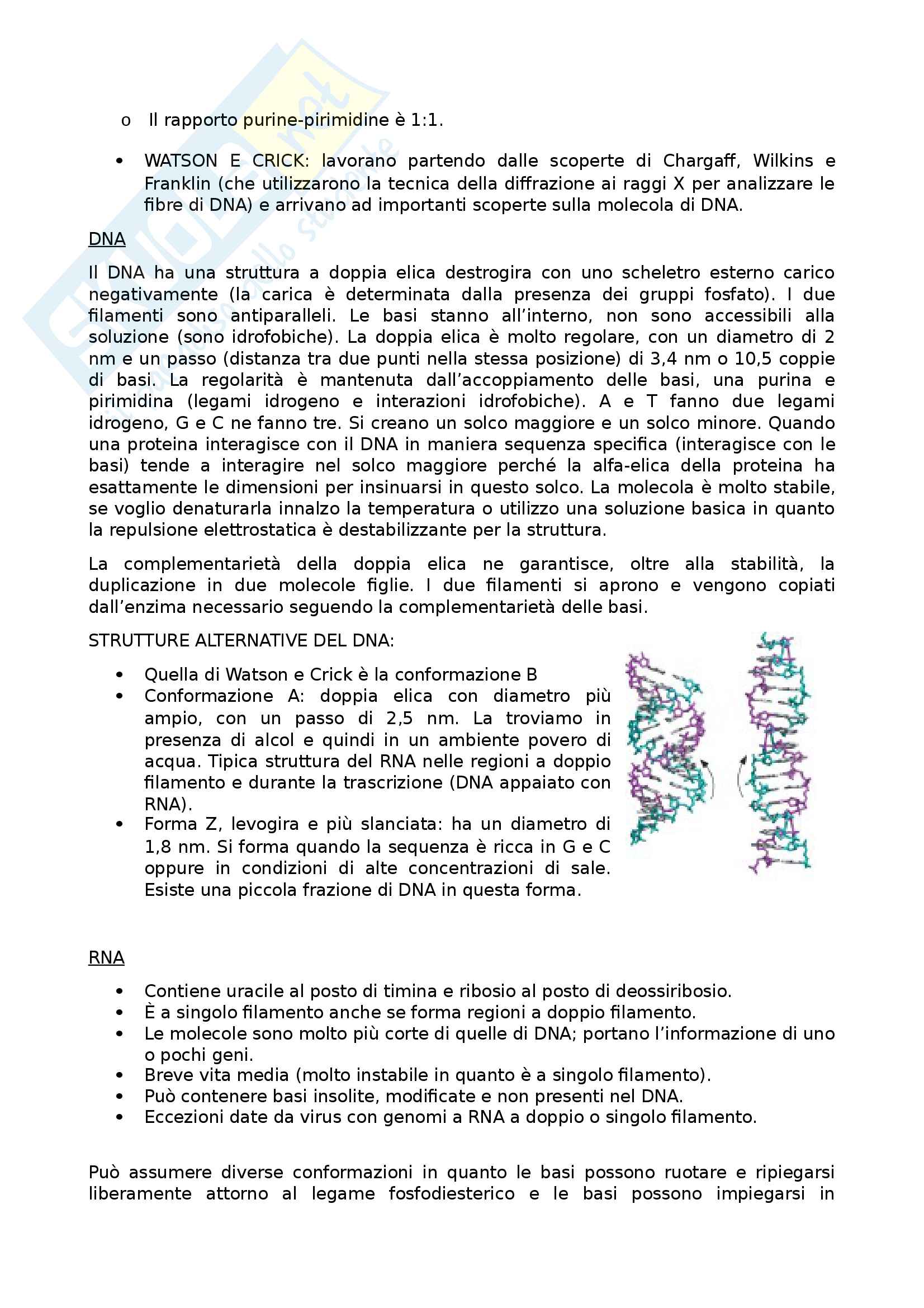 Biologia molecolare Pag. 6