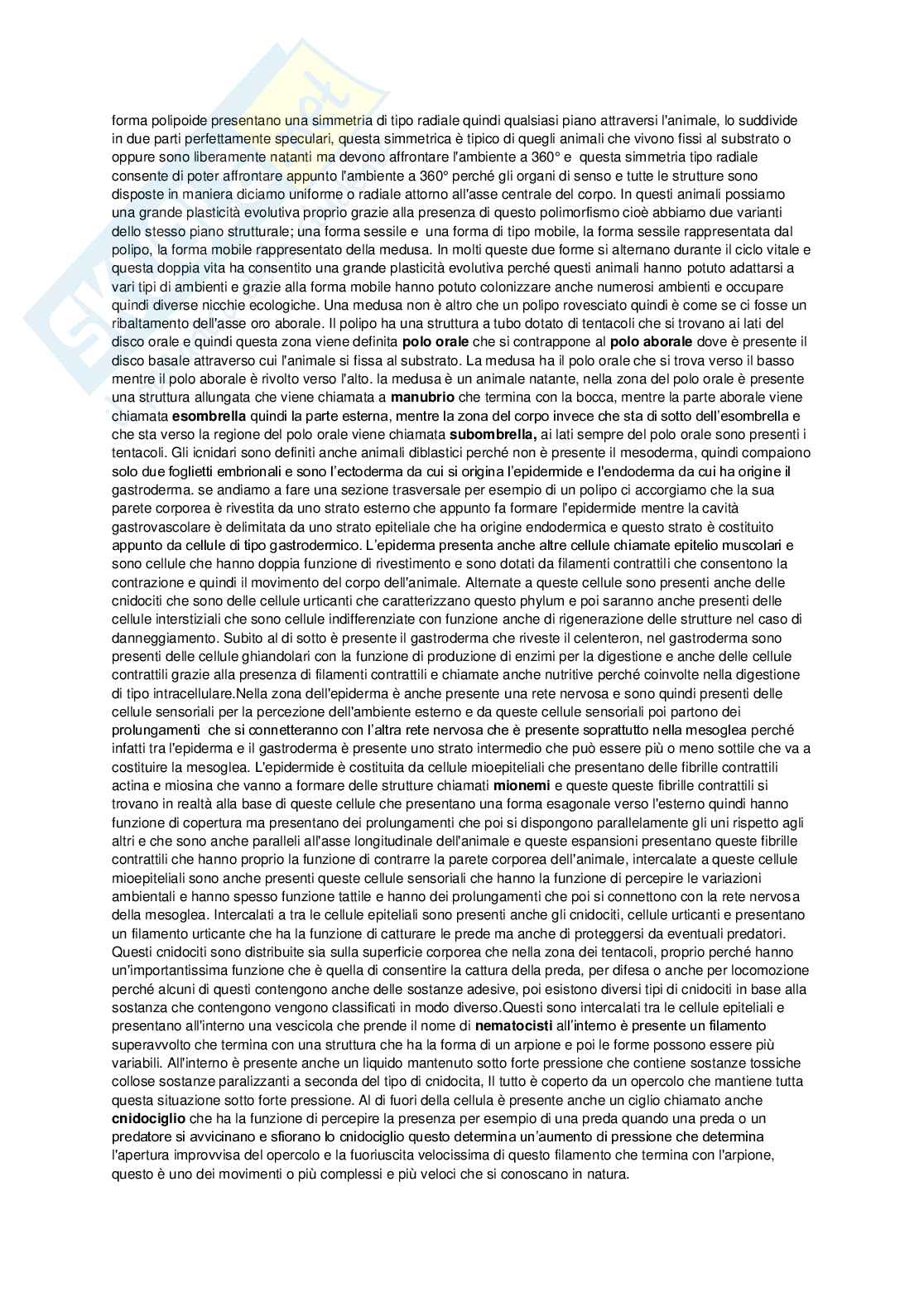 Appunti Biologia animale sistematica Pag. 16
