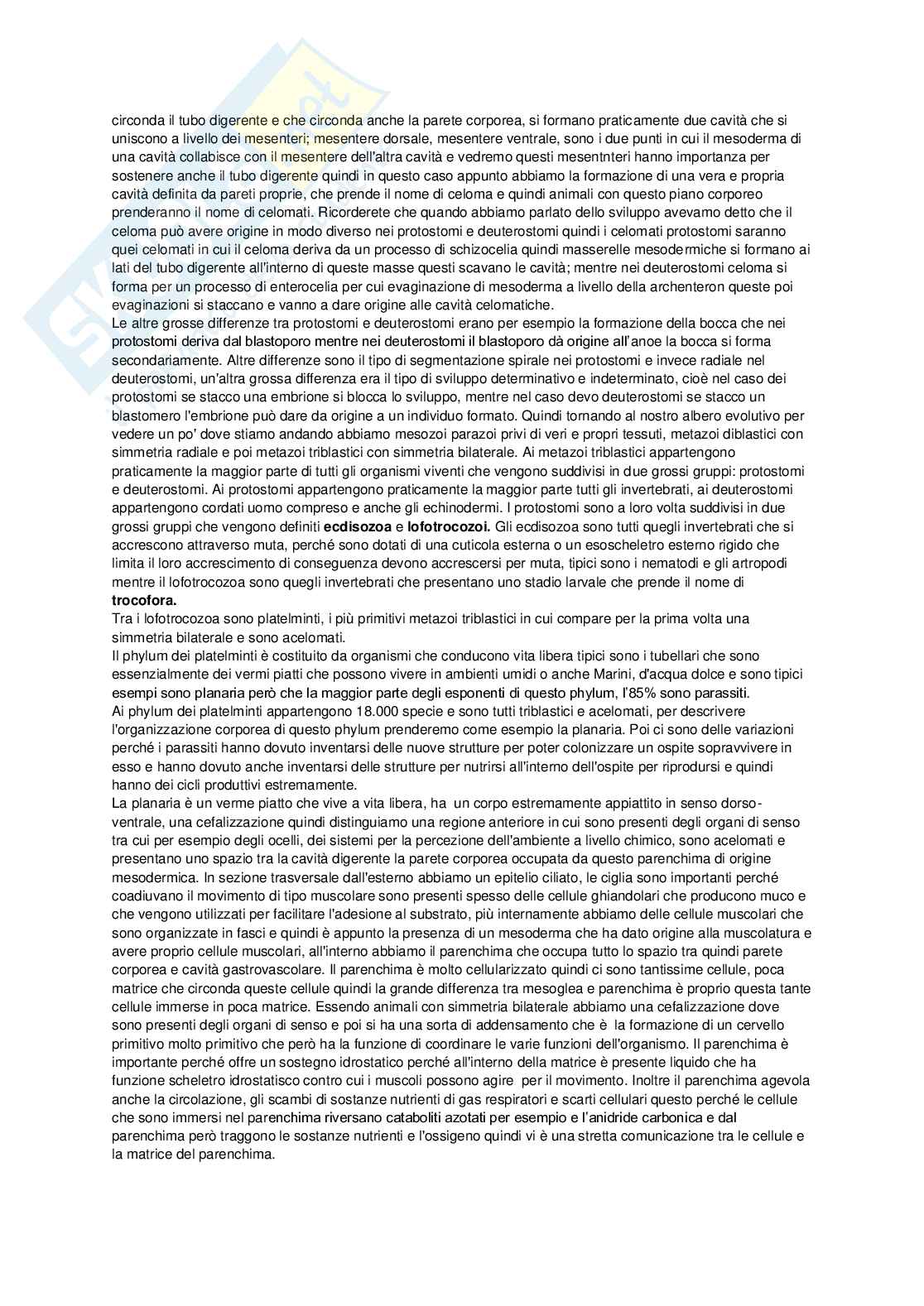 Appunti Biologia animale sistematica Pag. 26