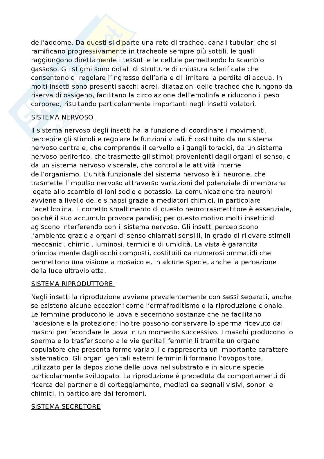 Appunti Patologia delle derrate alimentari Pag. 11