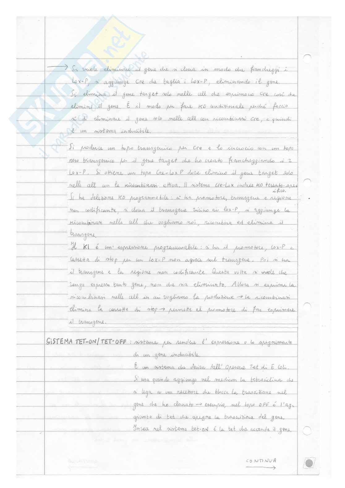 Biologia molecolare (quarta parte-funzione genica mirata a un gene, gene targeting, topi KO) Pag. 6