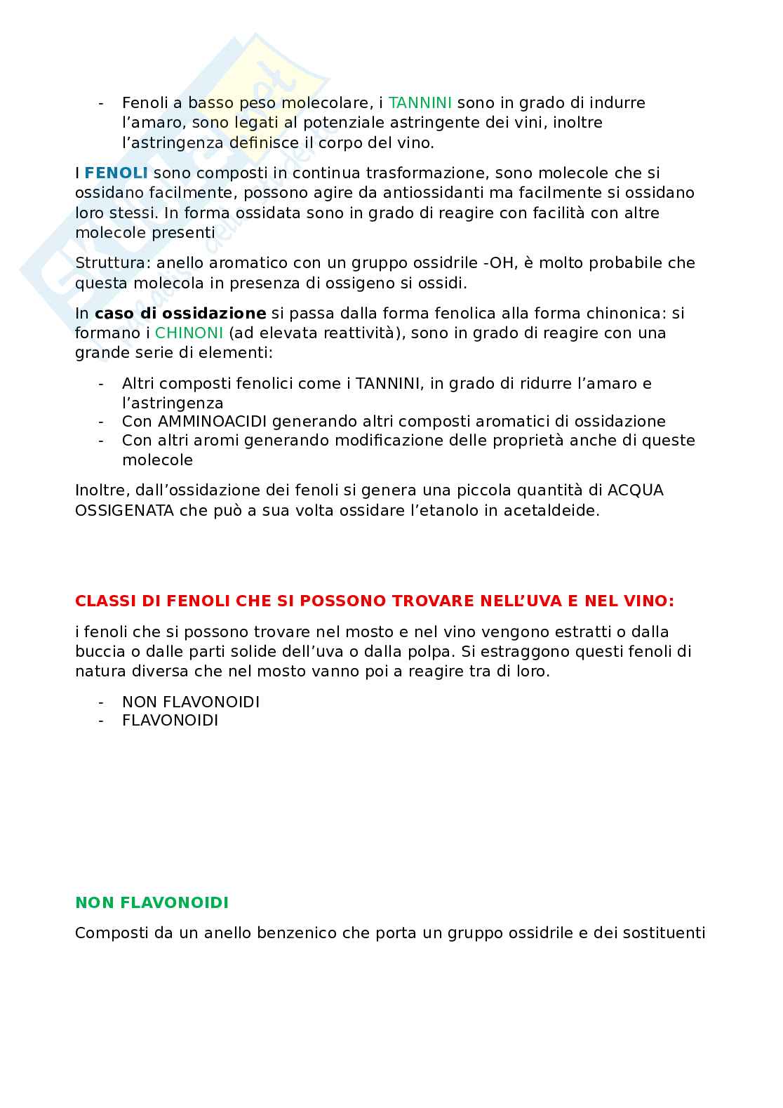 Vino Pag. 11