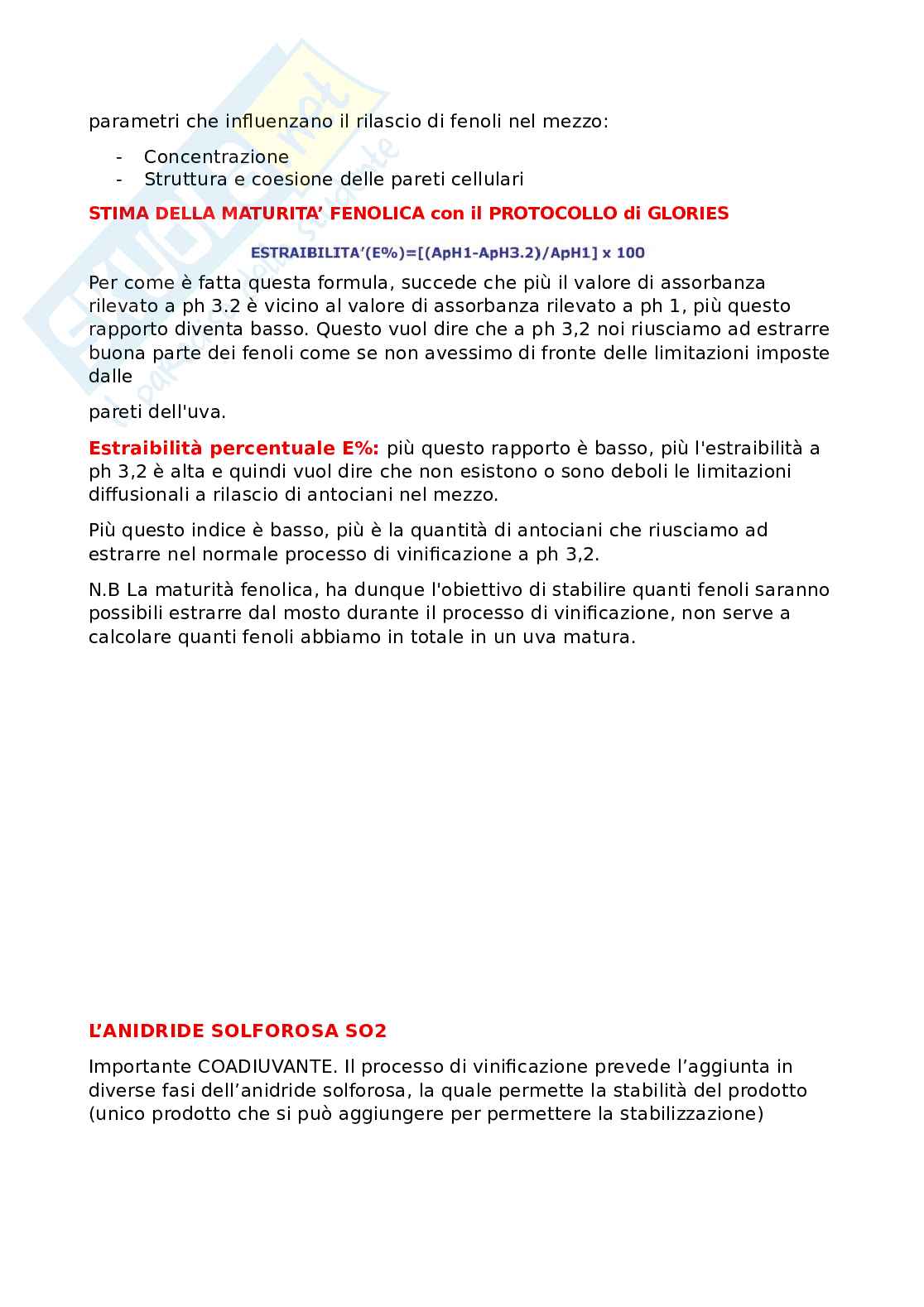 Vino Pag. 21