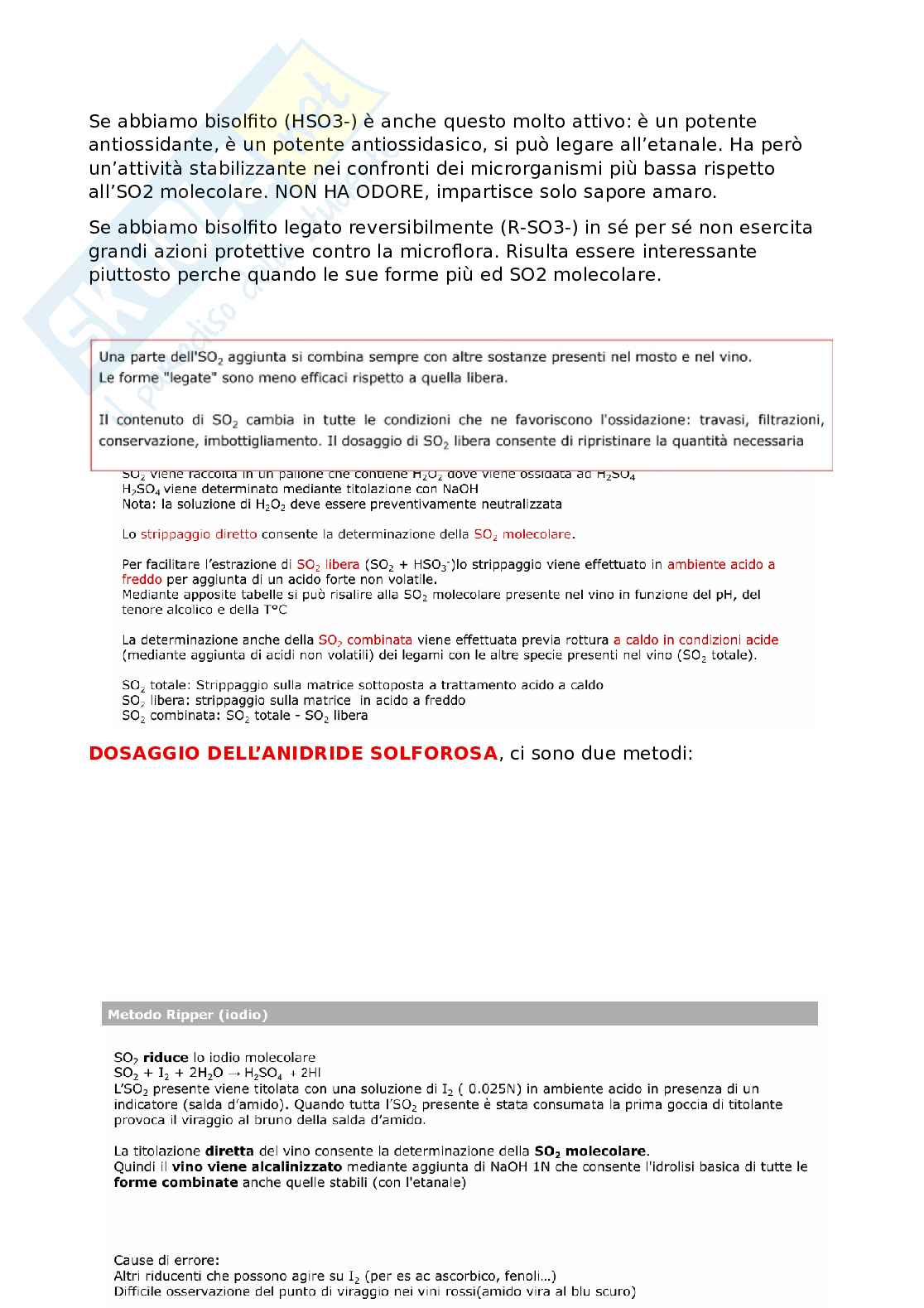 Vino Pag. 26