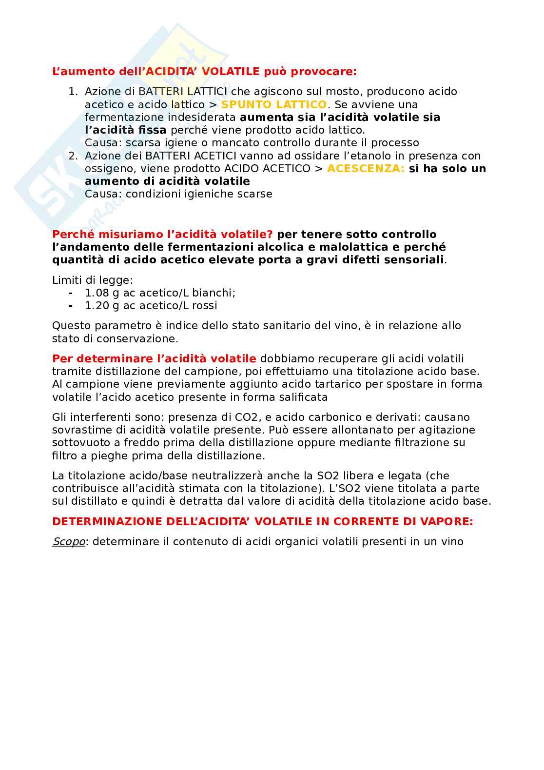 Vino Pag. 6