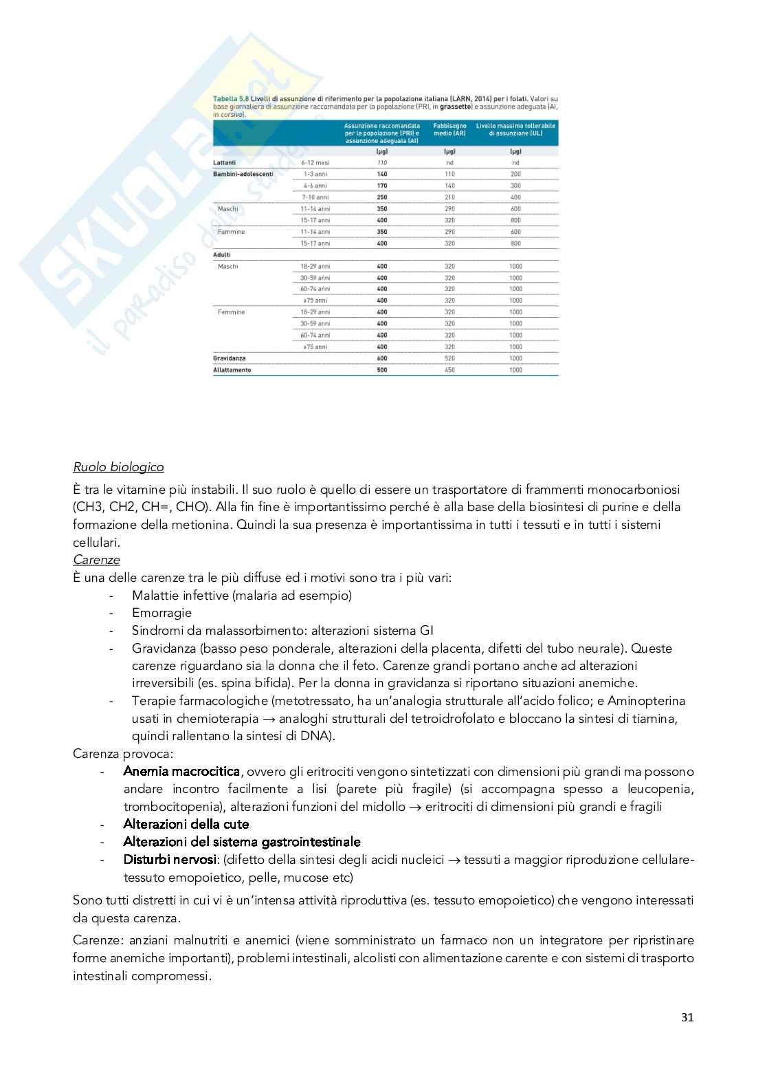 Appunti Chimica degli integratori nutrizionali e salutistici  Pag. 31