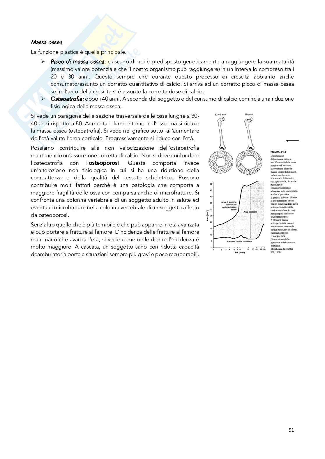 Appunti Chimica degli integratori nutrizionali e salutistici  Pag. 51