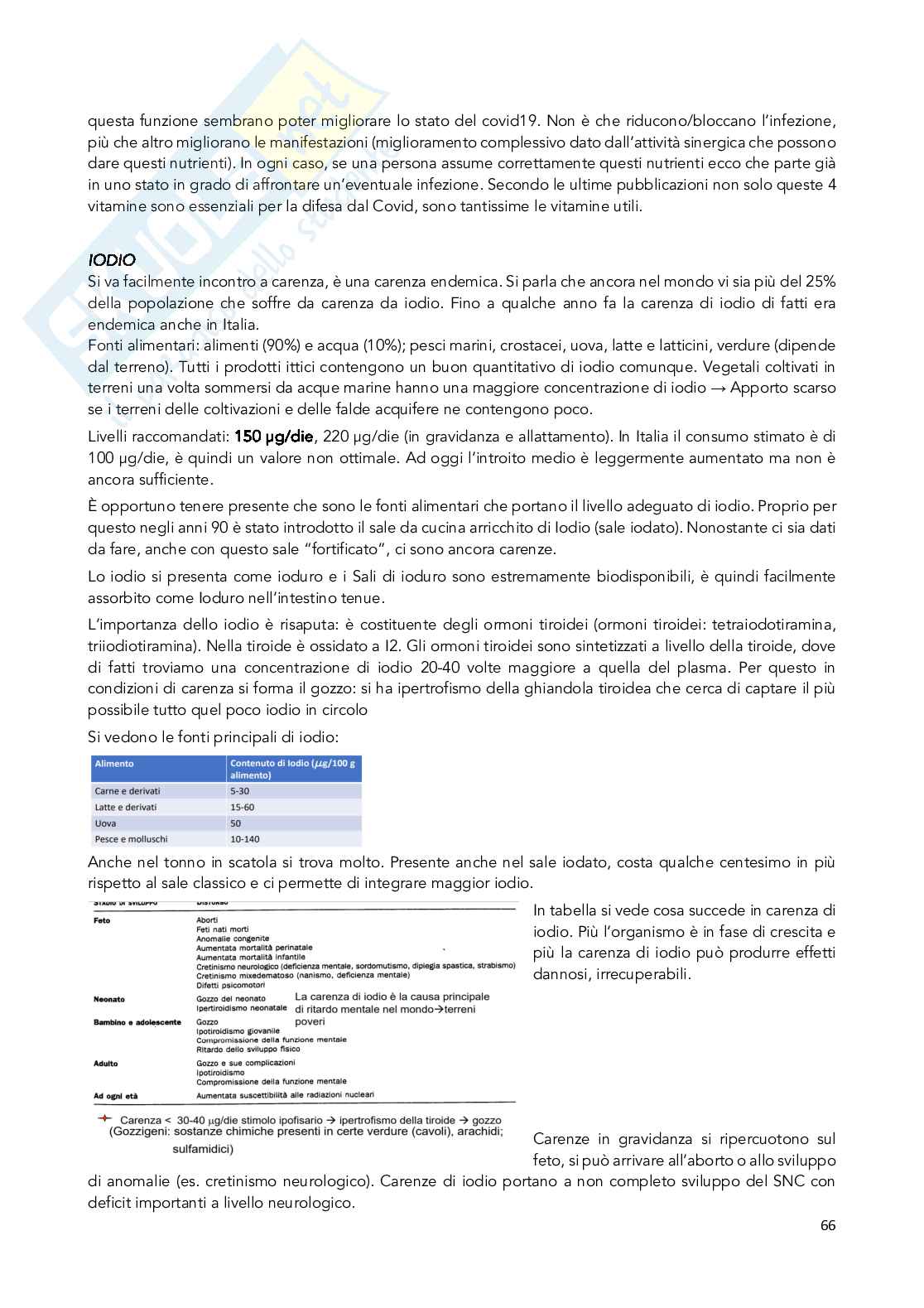 Appunti Chimica degli integratori nutrizionali e salutistici  Pag. 66
