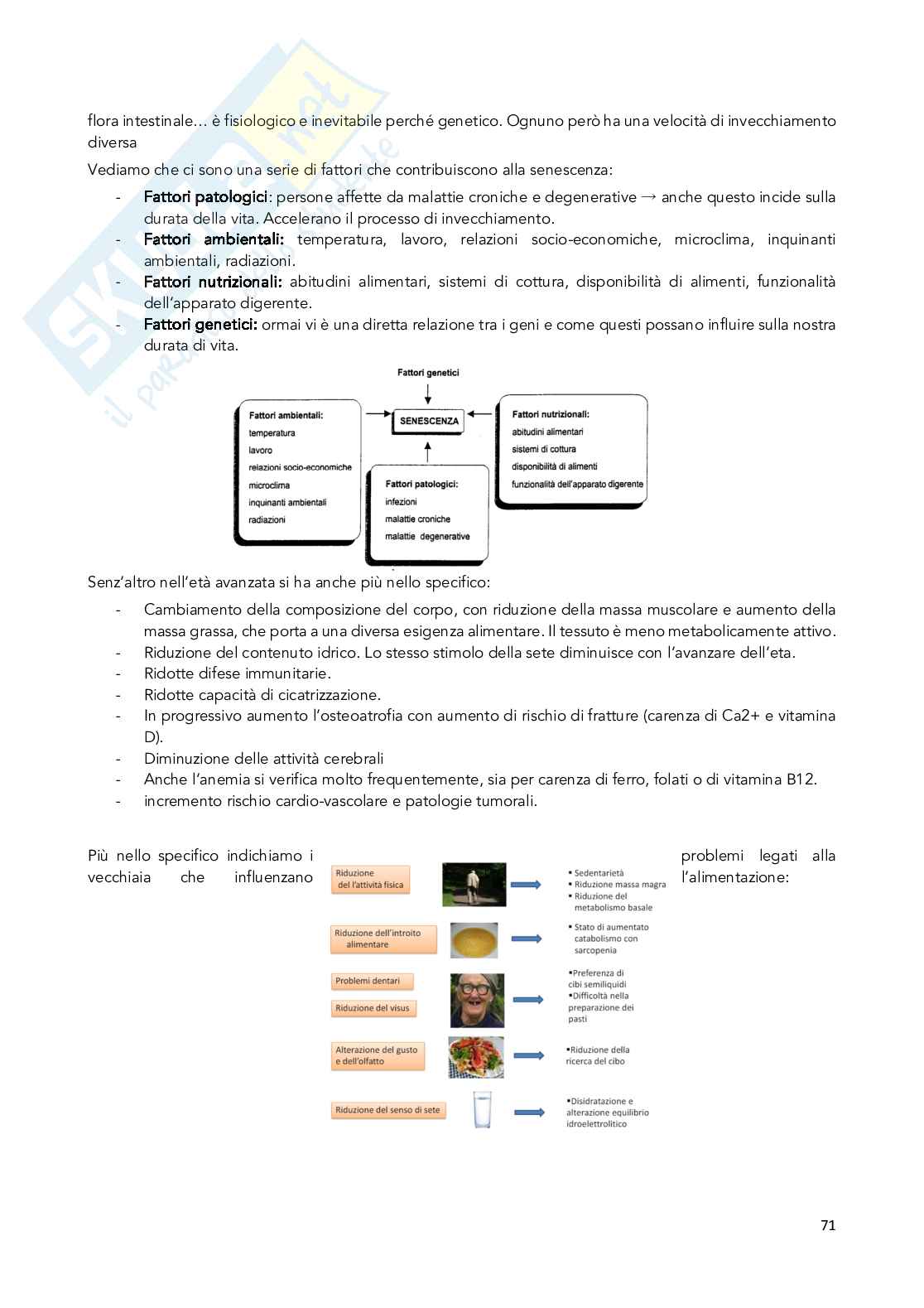 Appunti Chimica degli integratori nutrizionali e salutistici  Pag. 71