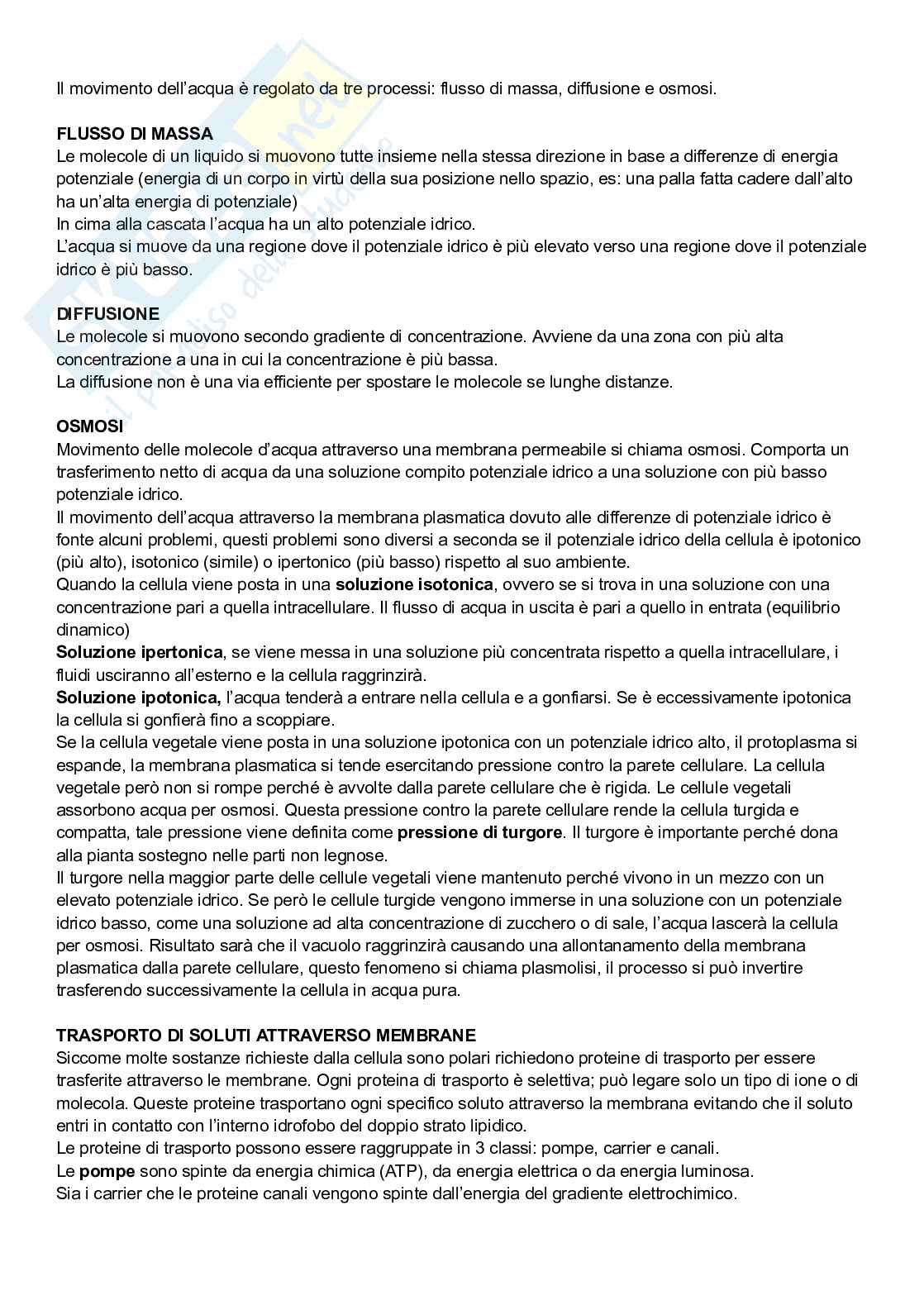 Appunti Biologia vegetale  Pag. 11