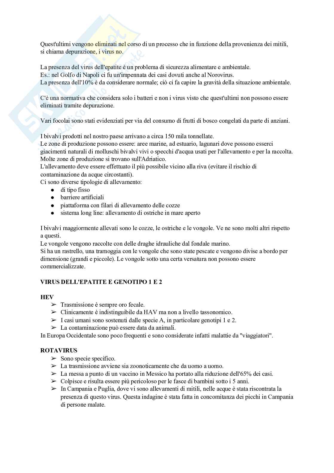 Igiene degli alimenti di origine animale Pag. 6