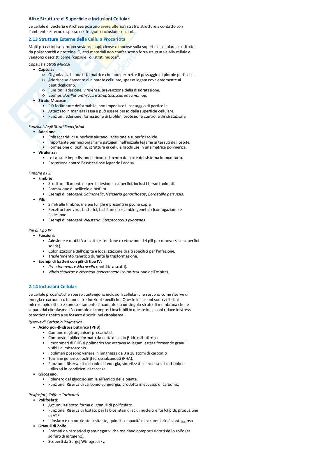 Riassunto esame Microbiologia generale, Prof. Cocolin Luca Simone, libro consigliato Biologia dei microrganismi , Madigan Pag. 16