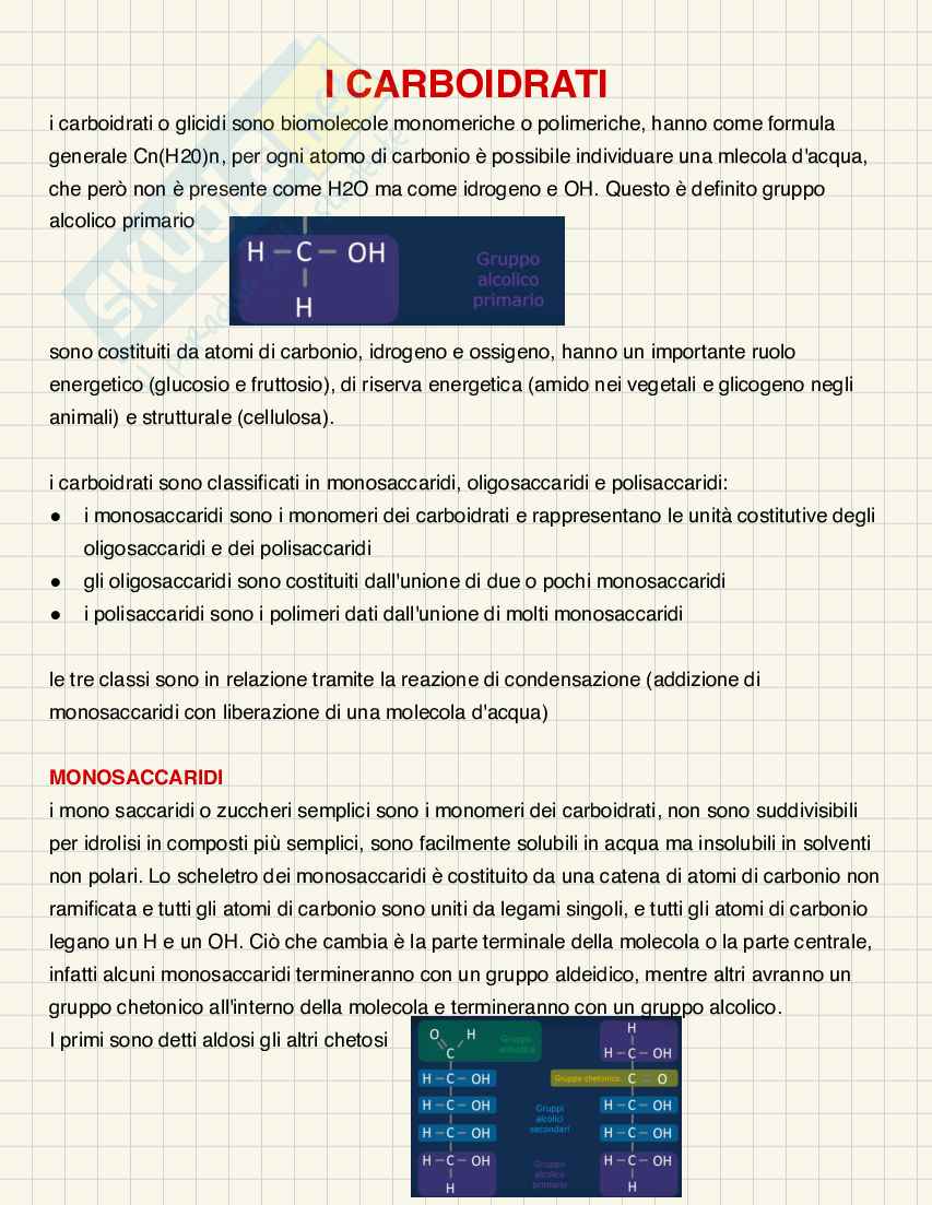 Carboidrati Pag. 2