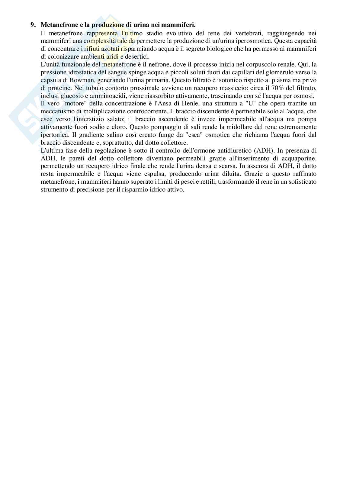 Domande per l’esame di Anatomia comparata  Pag. 16