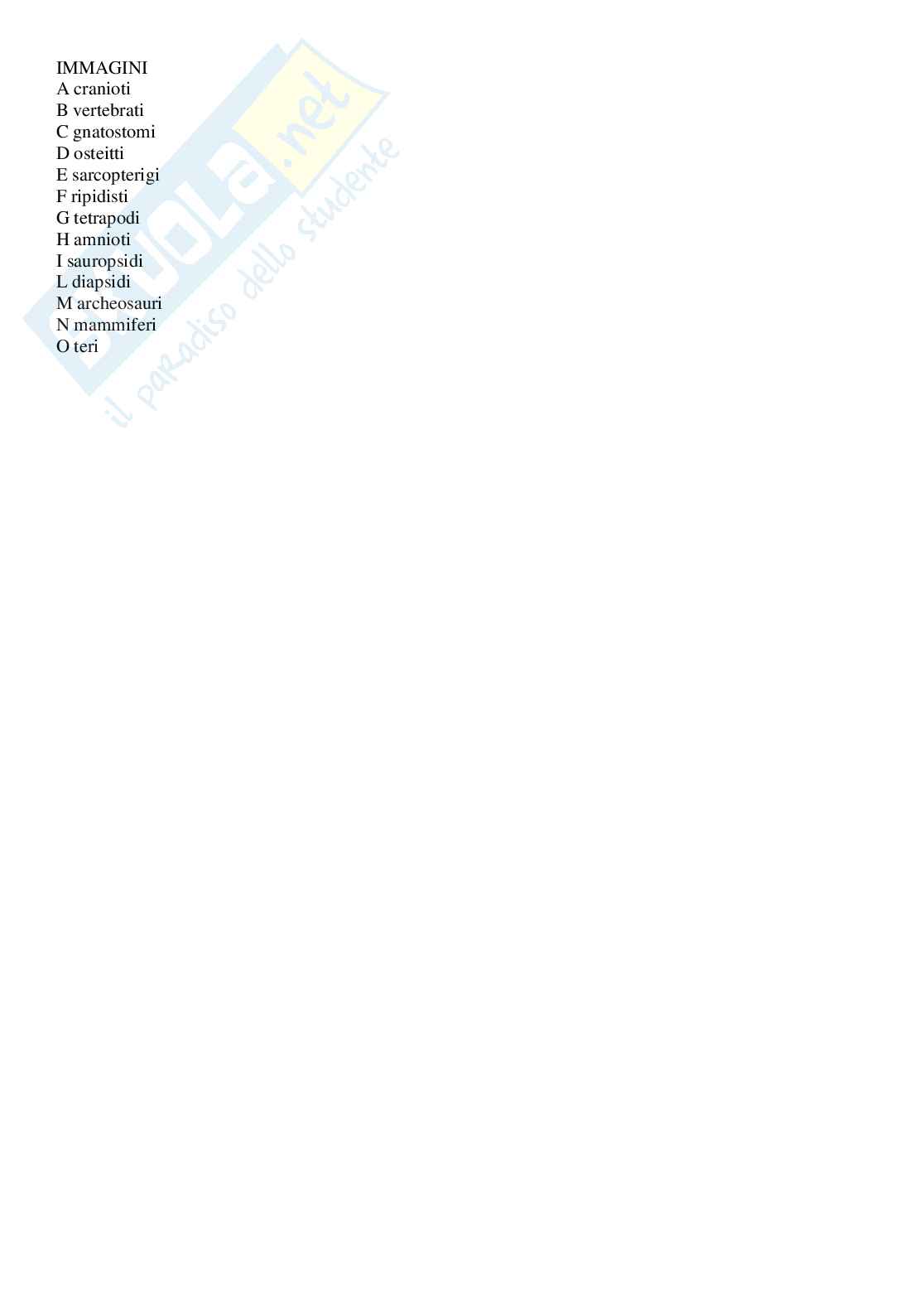 Domande per l’esame di Anatomia comparata  Pag. 2