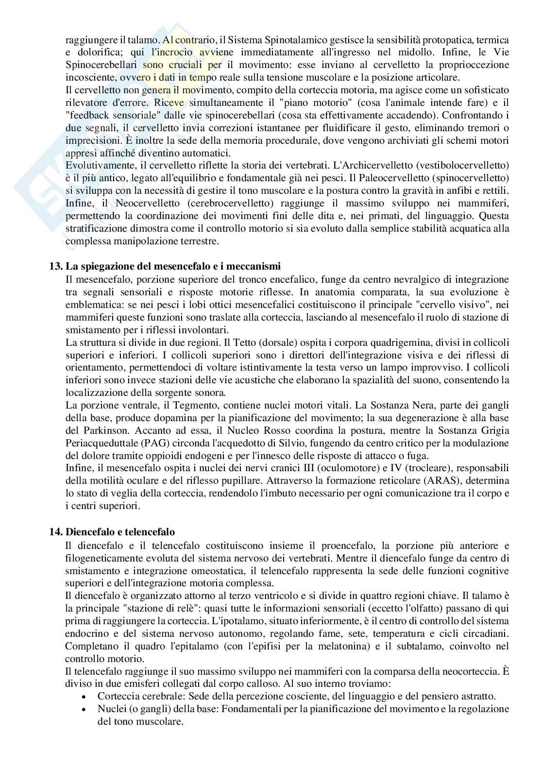 Domande per l’esame di Anatomia comparata  Pag. 21