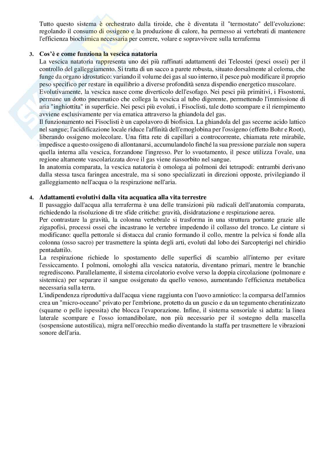Domande per l’esame di Anatomia comparata  Pag. 26