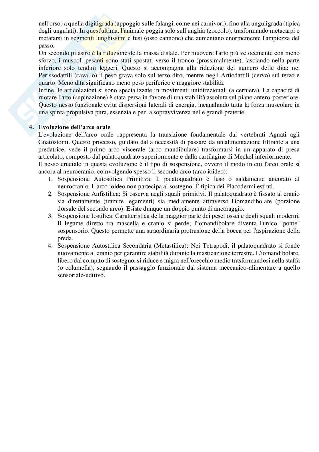 Domande per l’esame di Anatomia comparata  Pag. 6