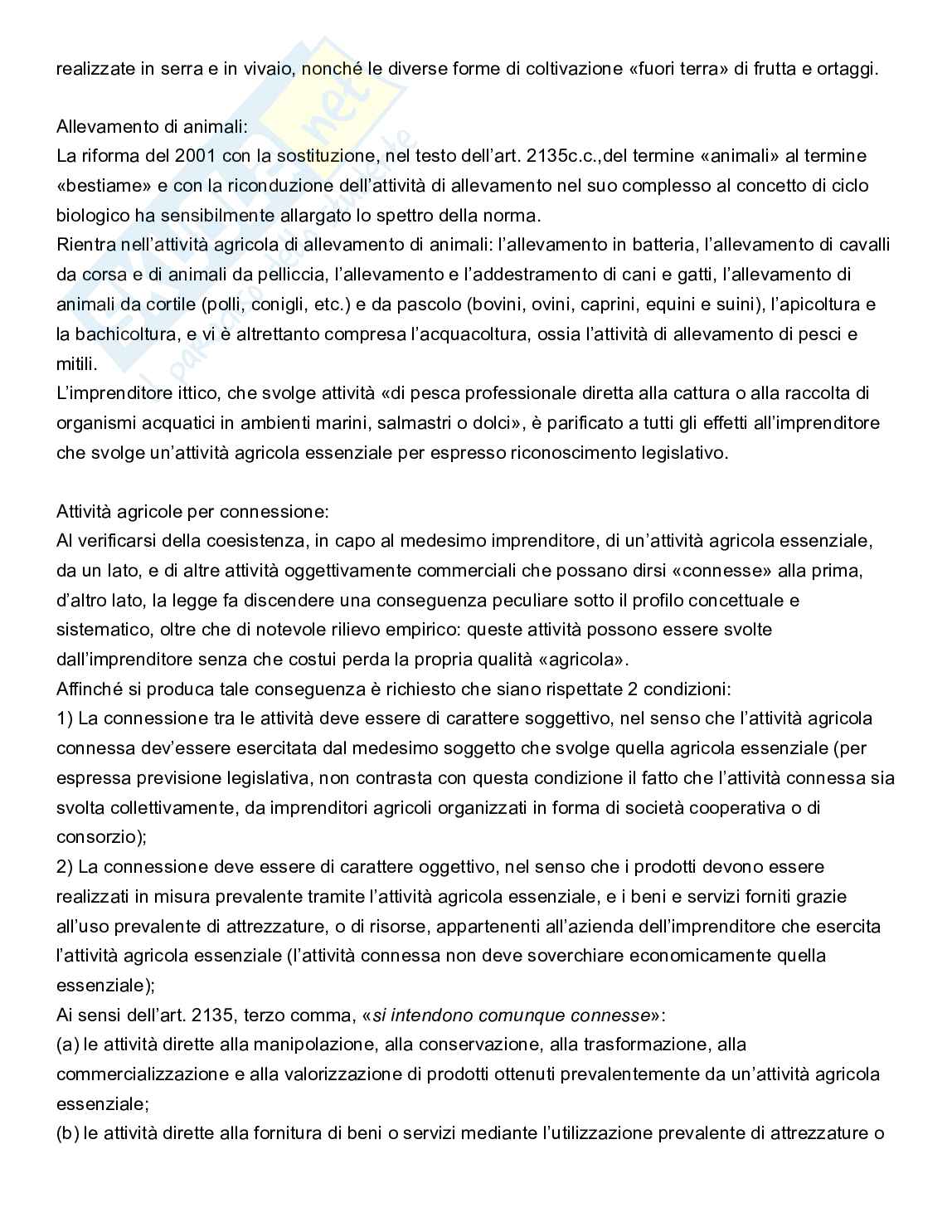 Esame Diritto commerciale  Pag. 6