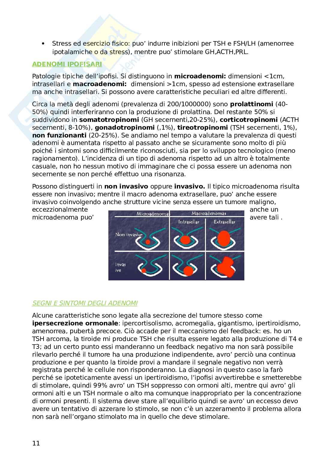Endocrinologia Pag. 11