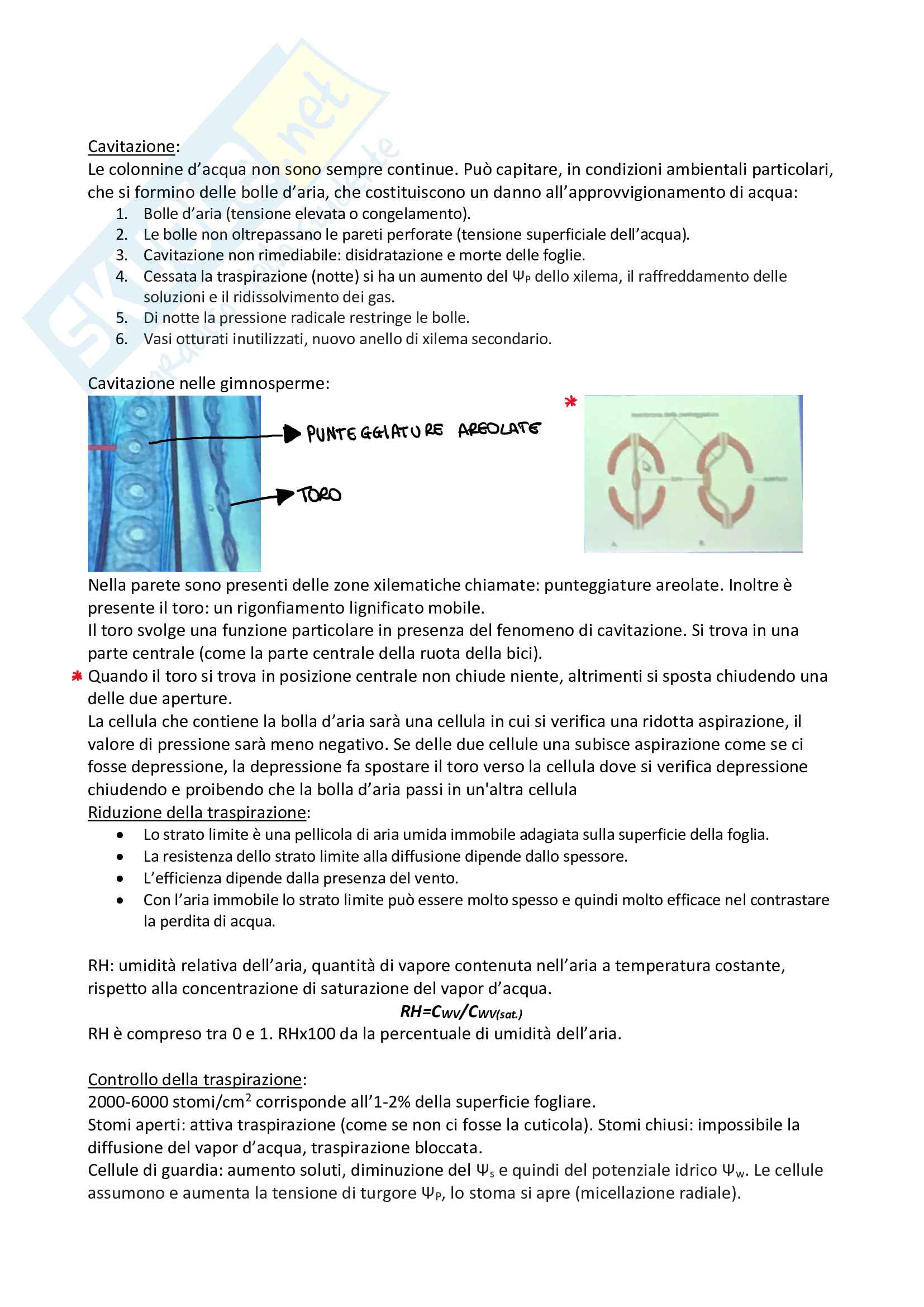 Biologia vegetale Pag. 36