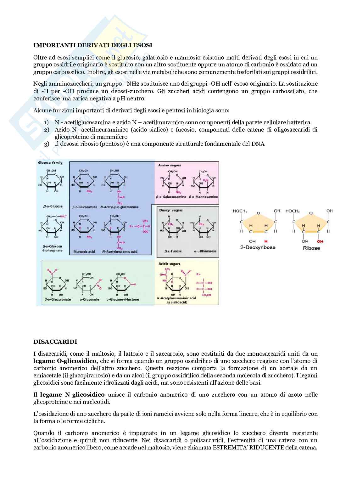 Biochimica e biologia molecolare delle piante Pag. 21