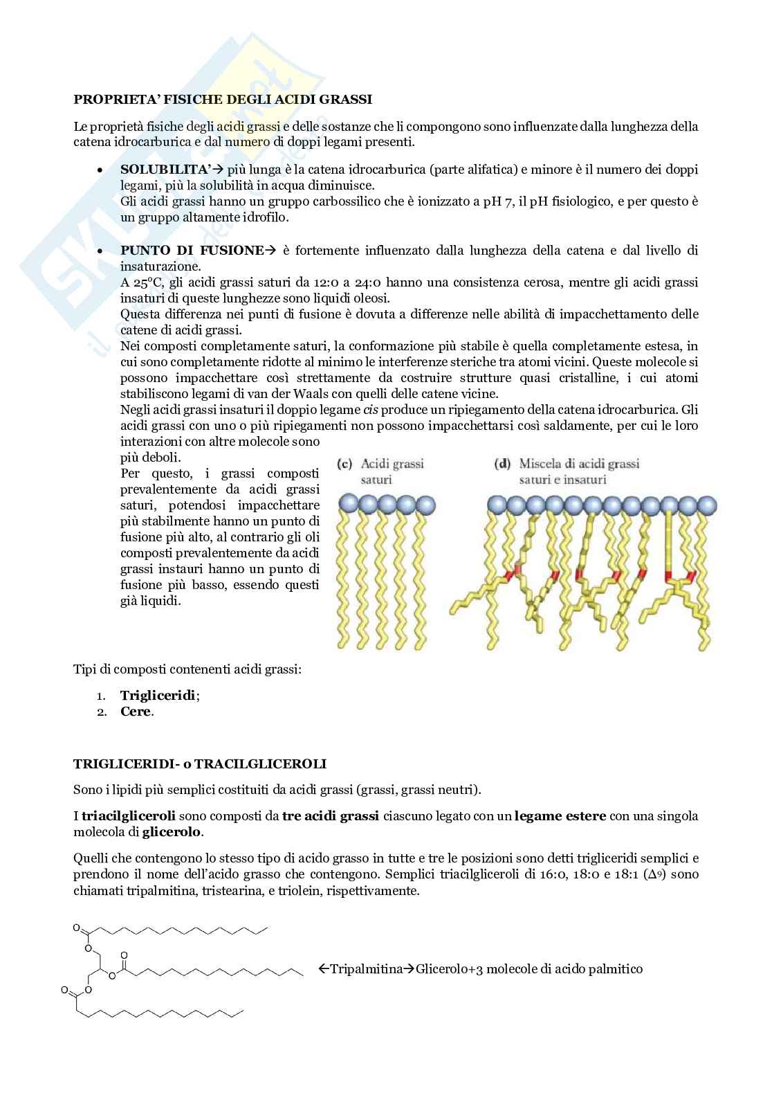 Biochimica e biologia molecolare delle piante Pag. 36