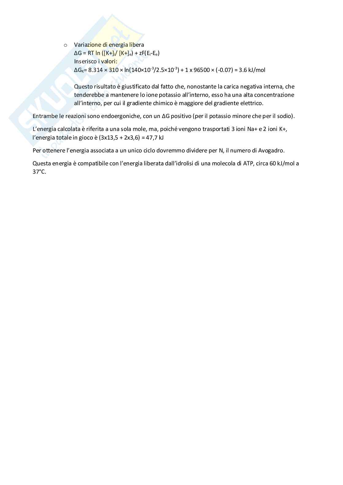 Lezione 5 Fisiologia generale Pag. 11