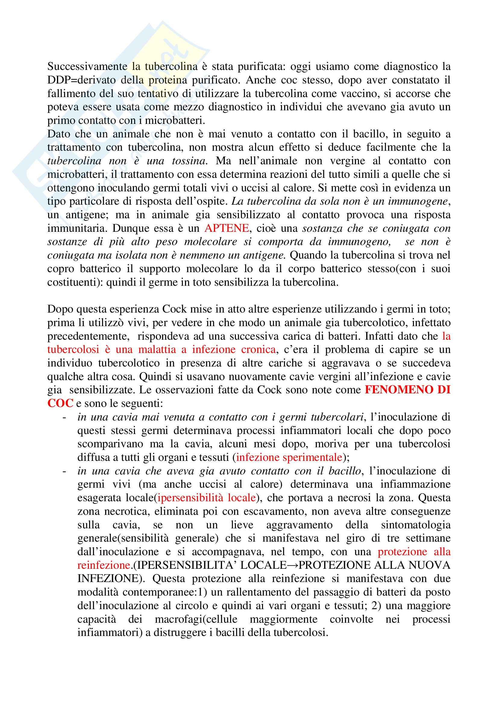 Microbiologia - tubercolosi Pag. 2