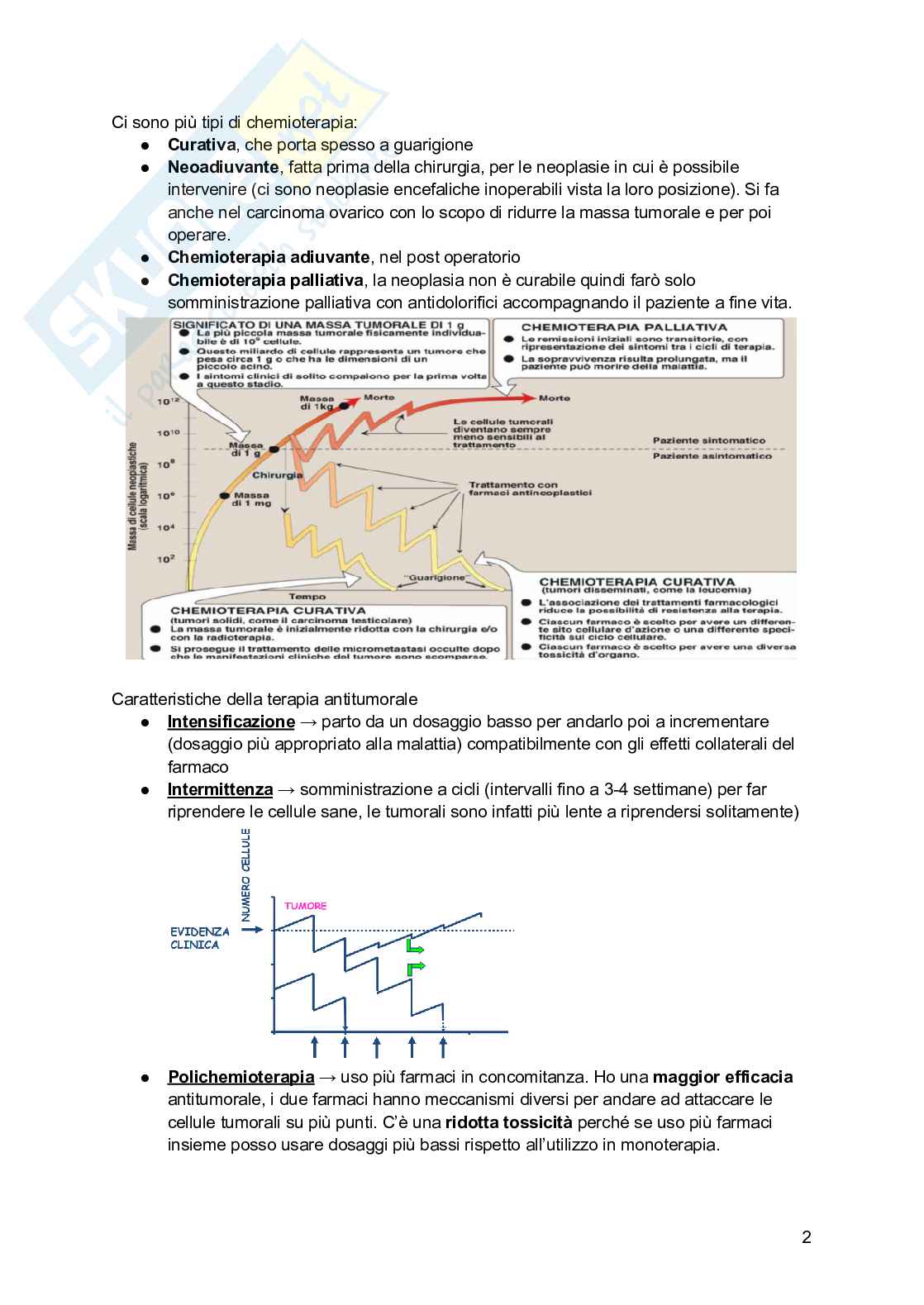Farmaci antineoplastici Pag. 2