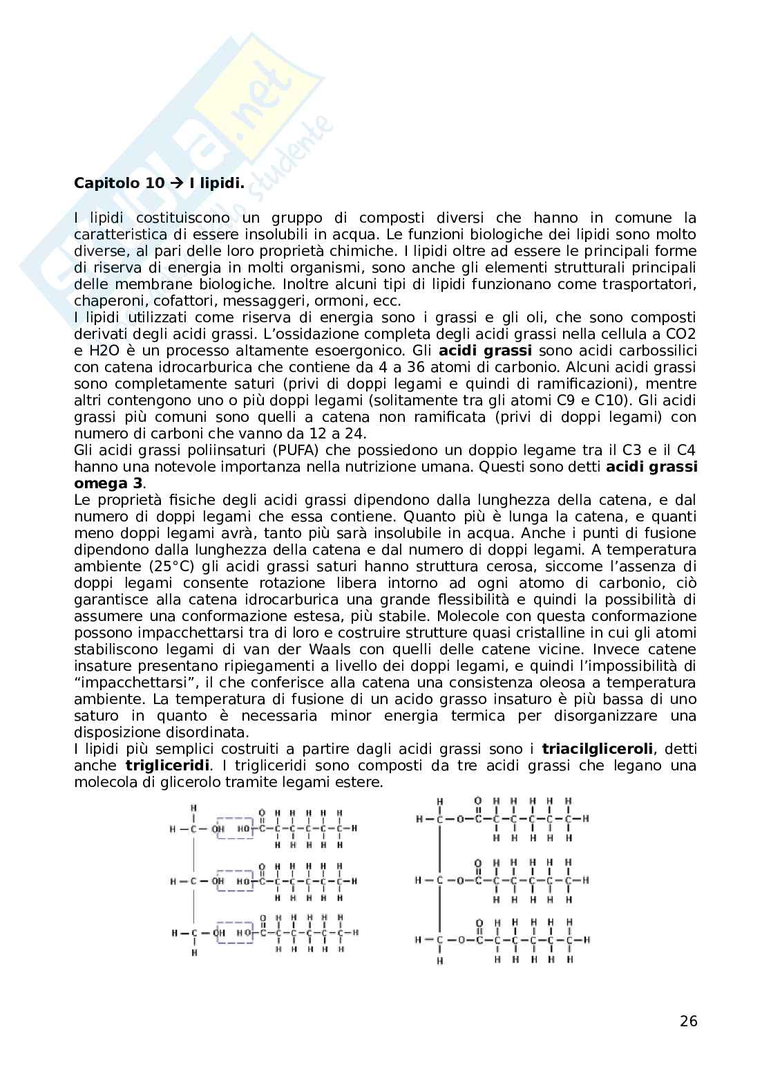 Riassunto esame Biochimica, Prof. Ammendola Rosario, libro consigliato I principi di biochimica di Lehninger, Nelson, Cox Pag. 26