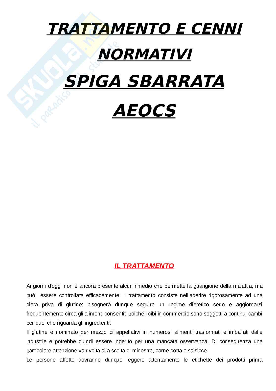 Celiachia Pag. 16