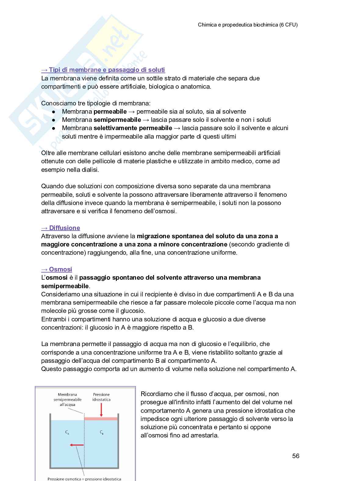 Chimica e propedeutica biochimica (semestre filtro) Pag. 56