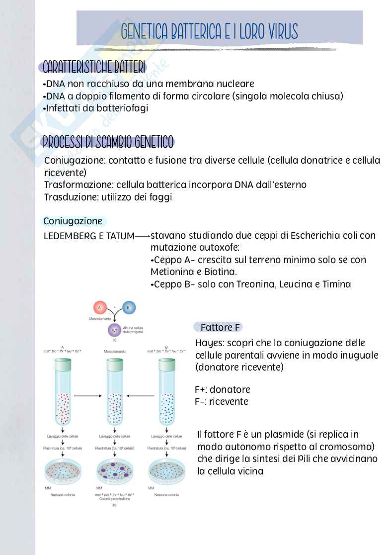 Novelletto-Genetica Pag. 16